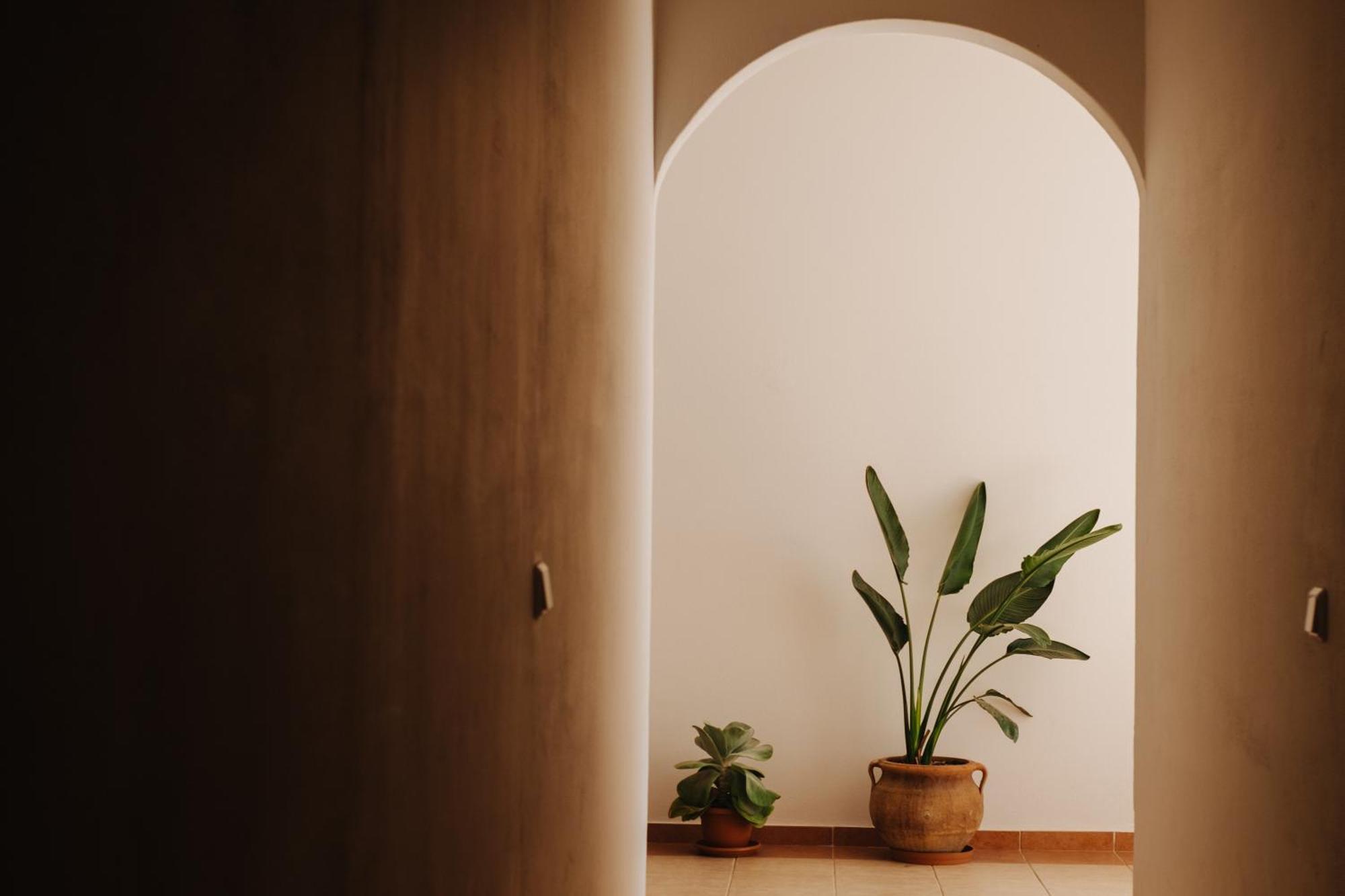 بلاكاس Finikas Apartments المظهر الخارجي الصورة